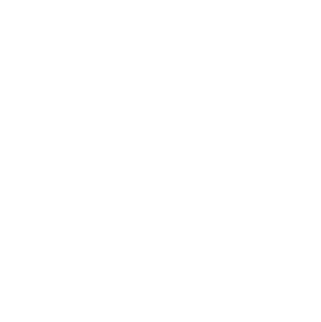 truck outline icon